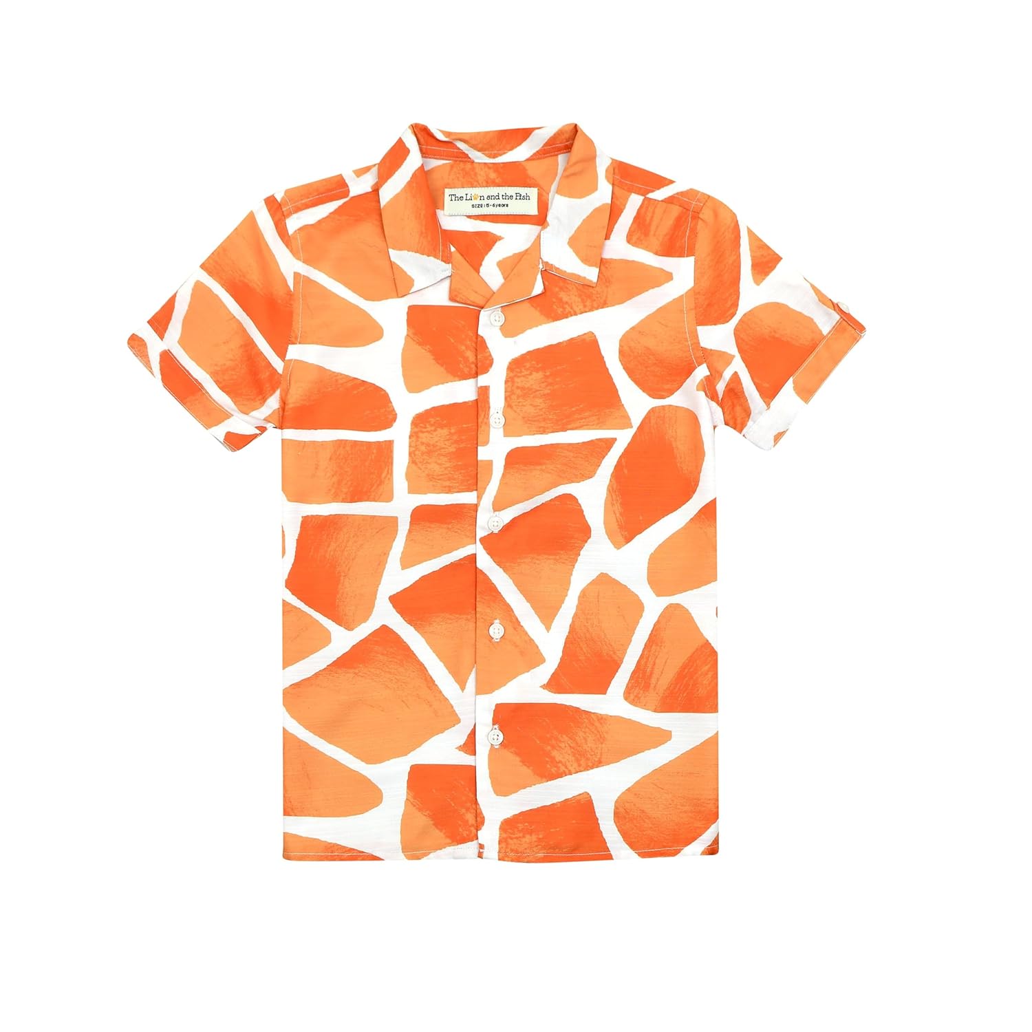 The Lion and the Fish...